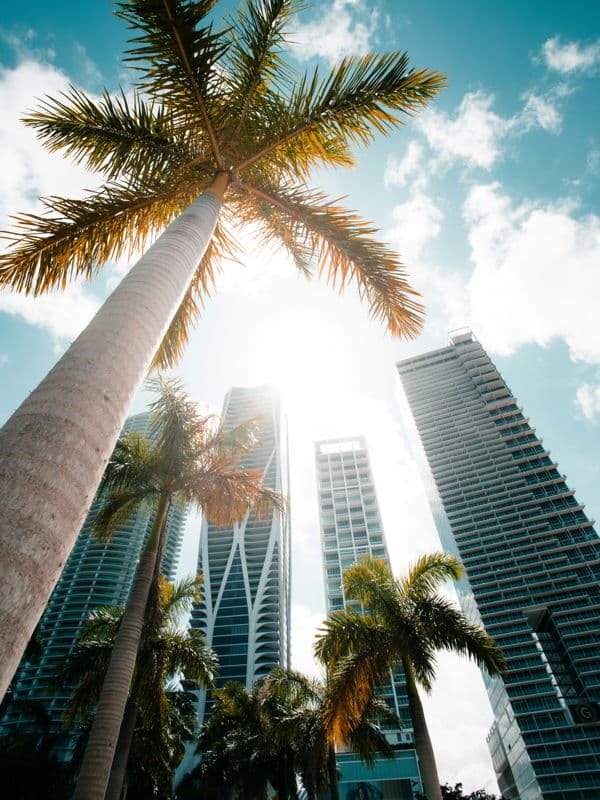 featured image for story, Benefícios de ter um corretor de imóveis em Miami ao seu lado